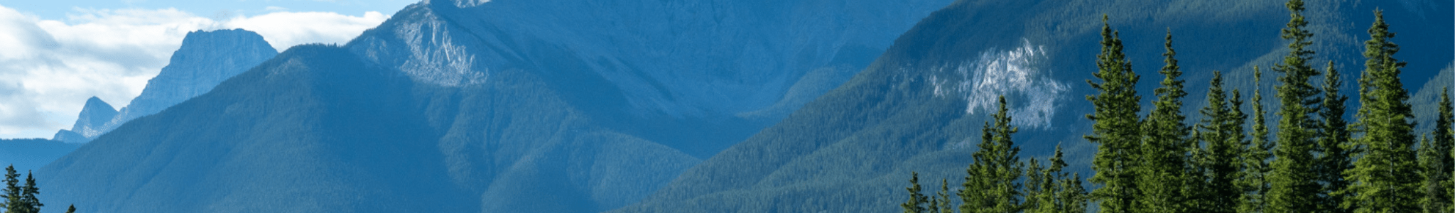 25% de rabais - ORAKI