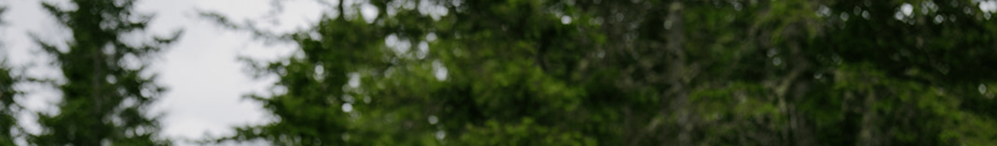 Petites quantités - ORAKI