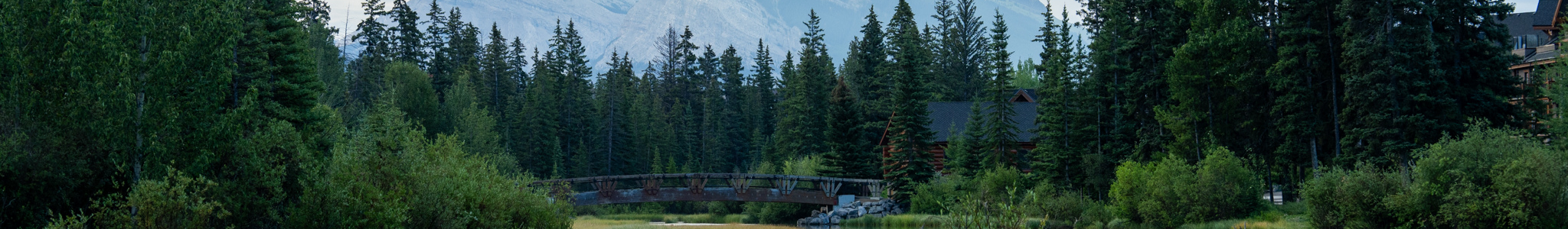 Robe et Combinaison - Oraki