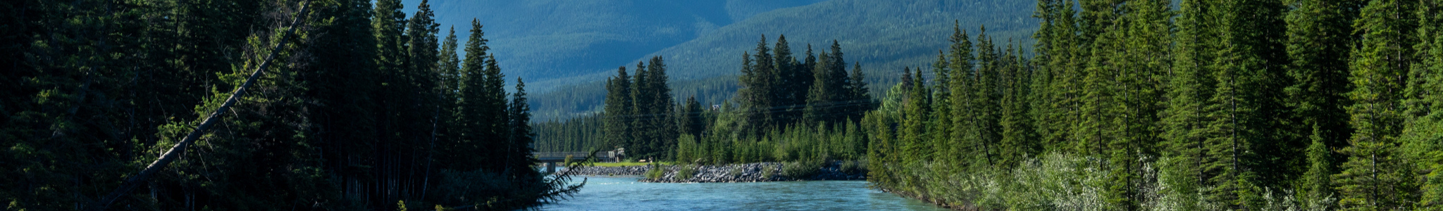 t-shirts et camisoles oraki