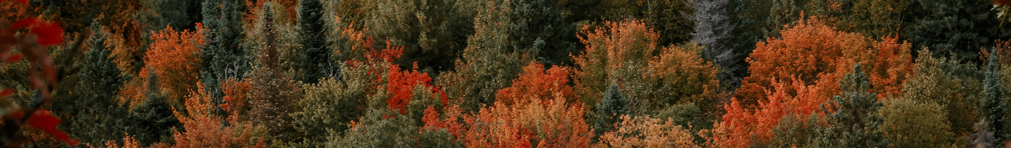 Vestes et Manteaux - ORAKI