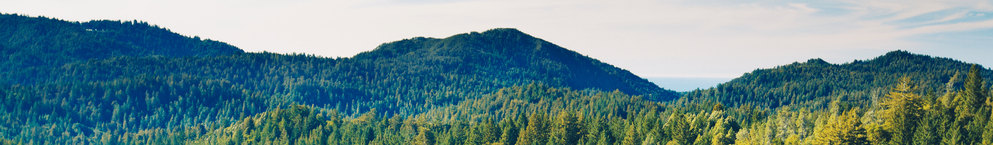 Vêtements pour homme - ORAKI