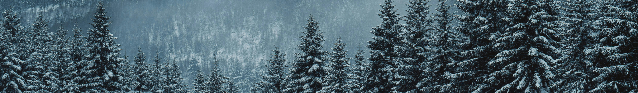 Banner_SVH_2026.png