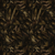 Jungle