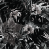 Jungle black