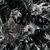 Jungle black