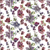Violetta